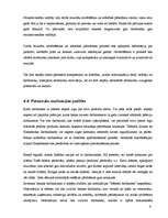 Prakses atskaite 'Prakses atskaite a/s "Hansabanka". 2006.gads', 69.