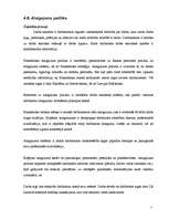 Prakses atskaite 'Prakses atskaite a/s "Hansabanka". 2006.gads', 71.