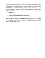 Prakses atskaite 'Prakses atskaite a/s "Hansabanka". 2006.gads', 73.