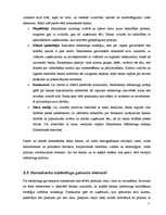 Prakses atskaite 'Prakses atskaite a/s "Hansabanka". 2006.gads', 76.