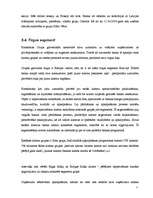 Prakses atskaite 'Prakses atskaite a/s "Hansabanka". 2006.gads', 79.