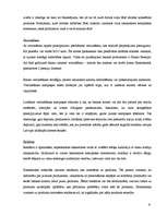 Prakses atskaite 'Prakses atskaite a/s "Hansabanka". 2006.gads', 84.