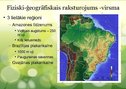 Prezentācija 'Brazīlija', 5.