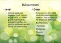 Prezentācija 'Brazīlija', 12.