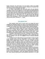 Referāts 'Pirmais pasaules karš', 8.