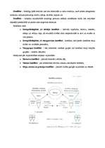 Konspekts 'Konfliktregulējoša saskarsme', 2.