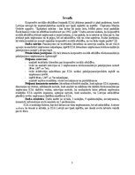 Referāts 'Korporatīvi sociālās atbildības izpausme uzņēmumiem telekomunikāciju pakalpojumu', 5.