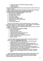 Referāts 'Organizācijas kultūra', 4.