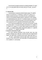 Referāts 'Mazākumtautības Latvijā', 13.