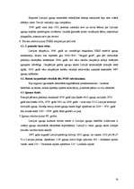 Referāts 'Mazākumtautības Latvijā', 16.