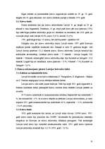 Referāts 'Mazākumtautības Latvijā', 18.