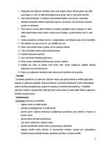 Prakses atskaite 'Viesnīca, restorāns "SESAME” ', 6.