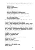 Prakses atskaite 'Viesnīca, restorāns "SESAME” ', 7.