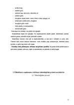 Prakses atskaite 'Viesnīca, restorāns "SESAME” ', 13.