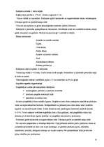 Prakses atskaite 'Viesnīca, restorāns "SESAME” ', 14.