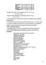 Prakses atskaite 'Viesnīca, restorāns "SESAME” ', 19.