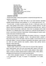 Prakses atskaite 'Viesnīca, restorāns "SESAME” ', 20.