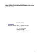 Prakses atskaite 'Viesnīca, restorāns "SESAME” ', 31.