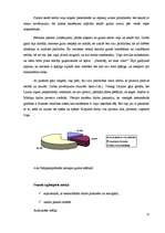 Referāts 'Darba iemaņu veidošana bērniem ar speciālām vajadzībām', 21.