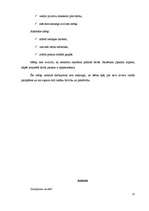 Referāts 'Darba iemaņu veidošana bērniem ar speciālām vajadzībām', 22.