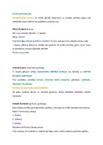 Konspekts 'Bioģenētiskā un socioģenētiskā attīstības teorija psiholoģijā', 5.