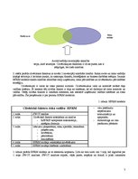 Eseja 'Uzņēmuma risku vadība un ar cilvēku kapitālu saistītie riski aviācijas industrij', 3.