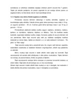 Referāts 'Bērna audzināšana', 5.