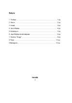 Referāts 'Jānis Klīdzējs', 2.