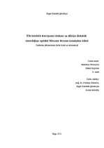 Referāts 'Ultravioletā starojuma ietekme uz silīcija dioksīda nanodaļiņu optiskā blīvuma ā', 1.