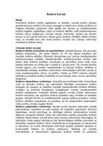 Referāts 'Muzeji, to veidošanas principi. Krājumi un attīstība', 3.