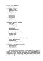 Referāts 'Muzeji, to veidošanas principi. Krājumi un attīstība', 10.