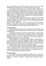 Referāts 'Muzeji, to veidošanas principi. Krājumi un attīstība', 16.