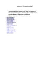 Referāts 'Muzeji, to veidošanas principi. Krājumi un attīstība', 19.