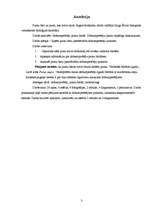 Referāts 'Dobumperētāju putni un viņu būri', 3.