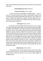 Referāts 'Dobumperētāju putni un viņu būri', 9.