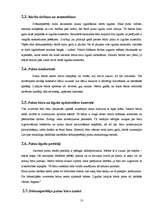 Referāts 'Dobumperētāju putni un viņu būri', 13.