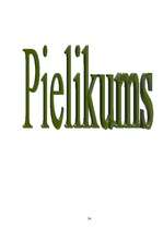 Referāts 'Dobumperētāju putni un viņu būri', 24.