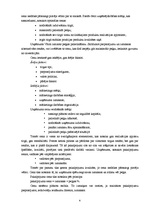 Referāts 'Makrovides faktora analīze', 4.