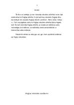 Referāts 'Anglija viduslaikos', 1.