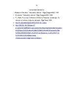 Referāts 'Anglija viduslaikos', 12.