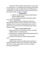 Konspekts 'Meklēšanas dienesti PR un reklāmas jomā', 4.