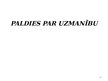 Prezentācija 'Pašvaldību tiesību jēdziens, princips un priekšmets', 20.