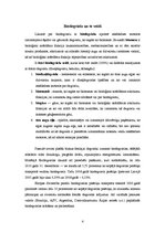 Referāts 'Biodegviela', 4.