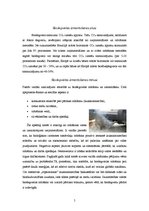 Referāts 'Biodegviela', 5.