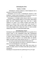 Referāts 'Biodegviela', 8.