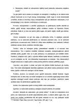 Referāts 'Konkurences raksturojums Latvijas degvielas tirgū', 8.