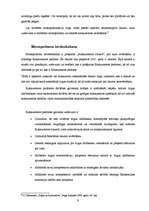 Referāts 'Konkurences raksturojums Latvijas degvielas tirgū', 9.