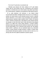 Referāts 'Konkurences raksturojums Latvijas degvielas tirgū', 16.