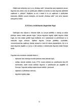 Referāts 'Konkurences raksturojums Latvijas degvielas tirgū', 25.