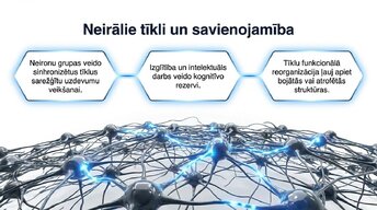 Prezentācija 'Neiroplastiskums un novecošana: vai smadzenes saglabā elastību pēc 60 gadiem', 10.